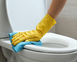 Classic bathroom cleaning