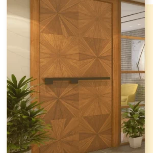 Minor wooden door repair
