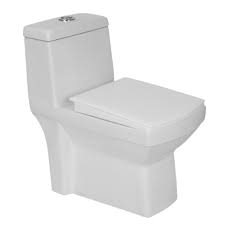 Western toilet repair (floor mounted)