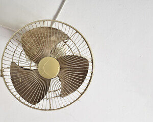 Ceiling & fan cobweb dusting (upto 1 room)
